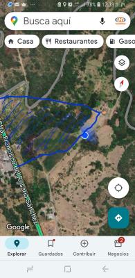 Venta tareas, Baní, Galeón, Republica Dominicana - Image# 8